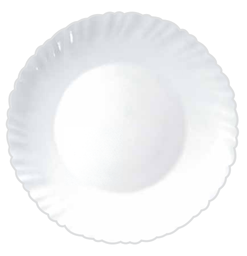 Arcopal Feston Dinnerset